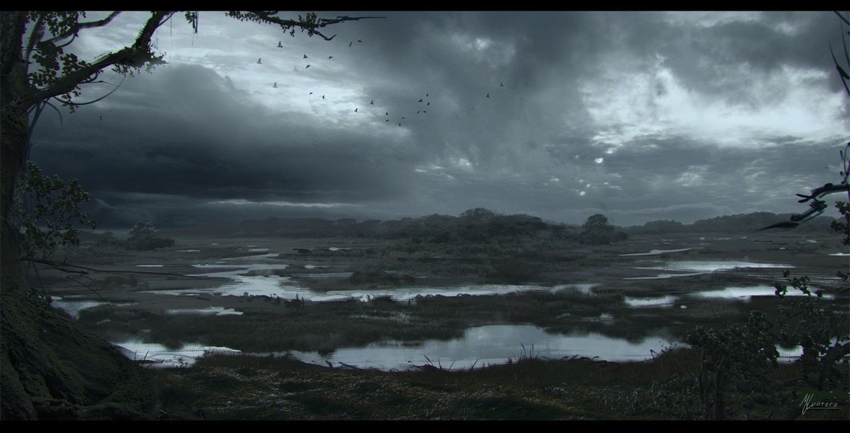 Barion, Le repère noirâtre